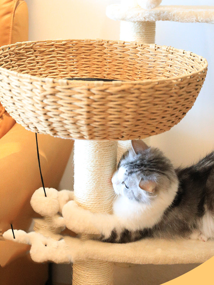 Cloud Cat Climb Rack Nest Tree