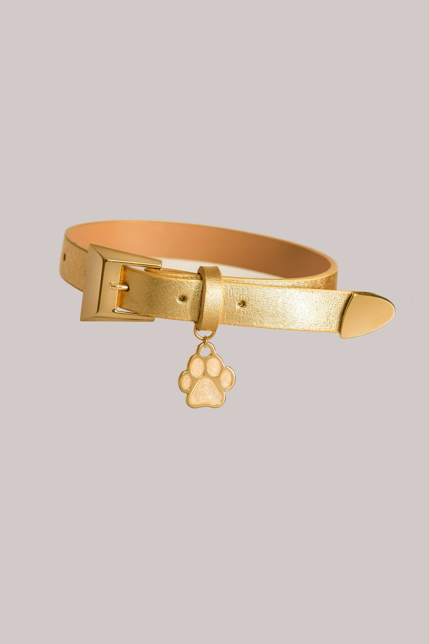 Cat Accessories