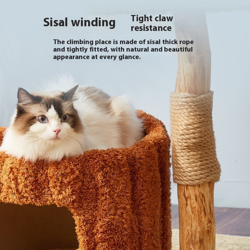 Green and Wood Cat Climbing Tree Nest