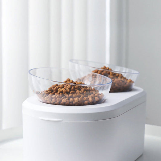 Oblique Mouth Double Bowl Transparent