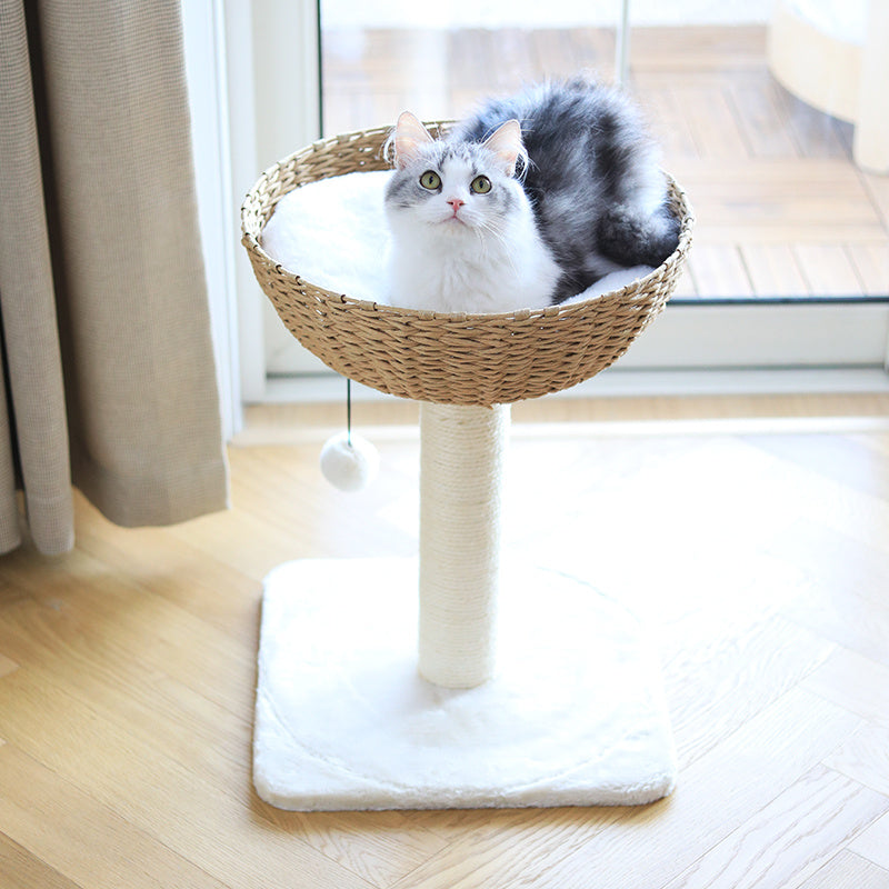 Cloud Cat Climb Rack Nest Tree