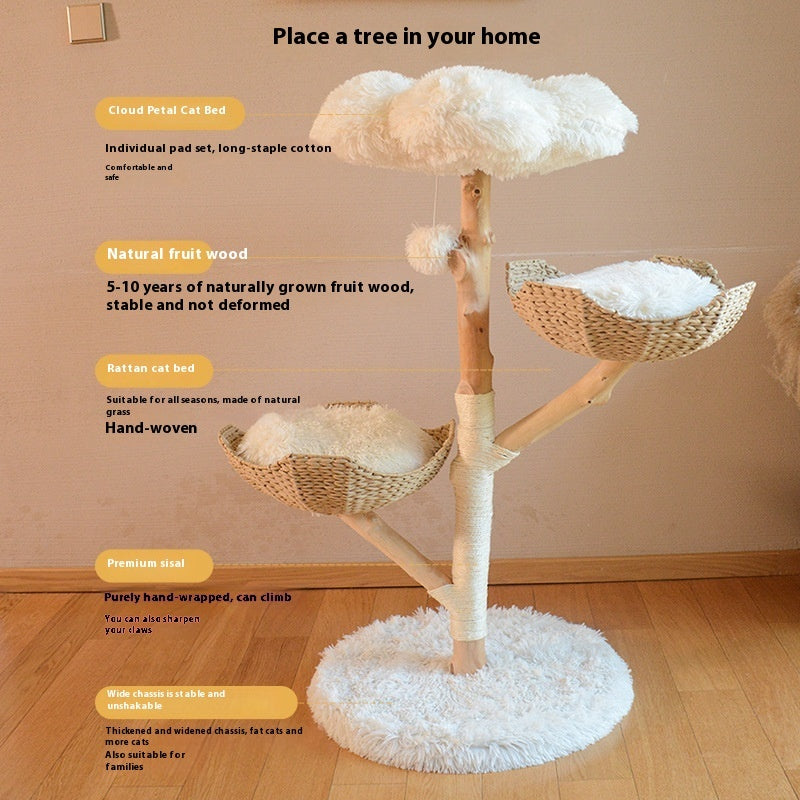 Natural Fruit Cat Tree