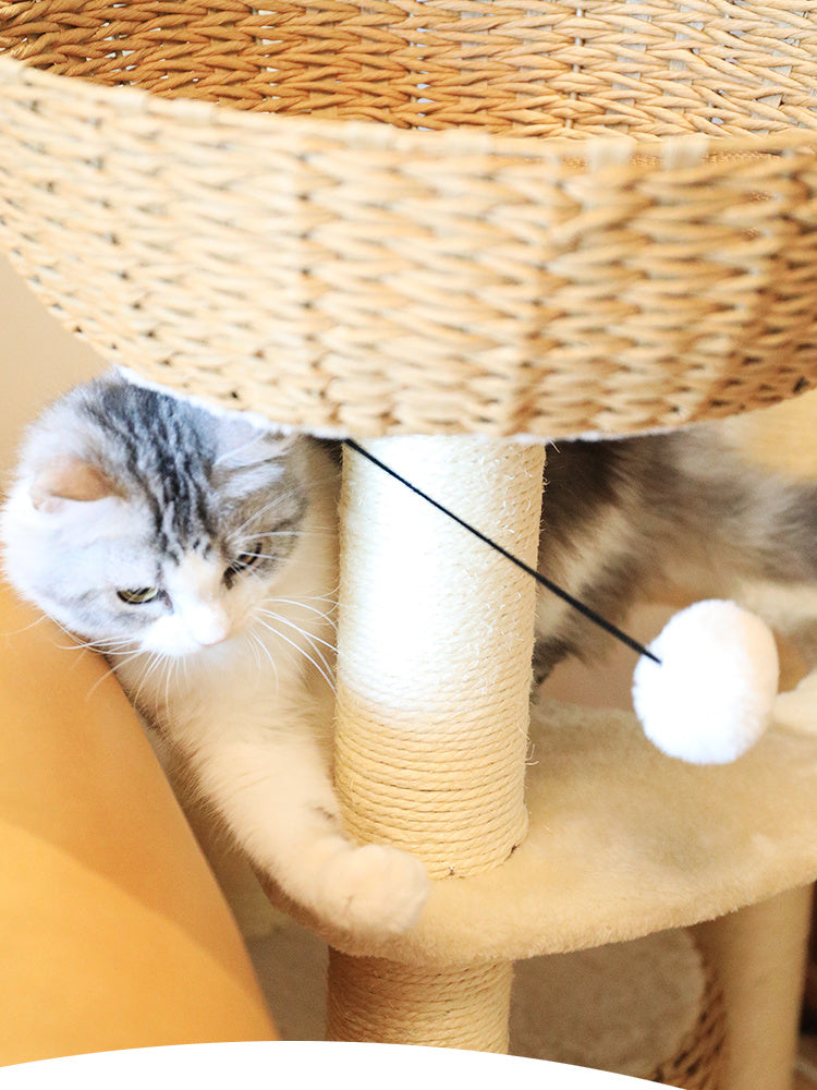 Cloud Cat Climb Rack Nest Tree