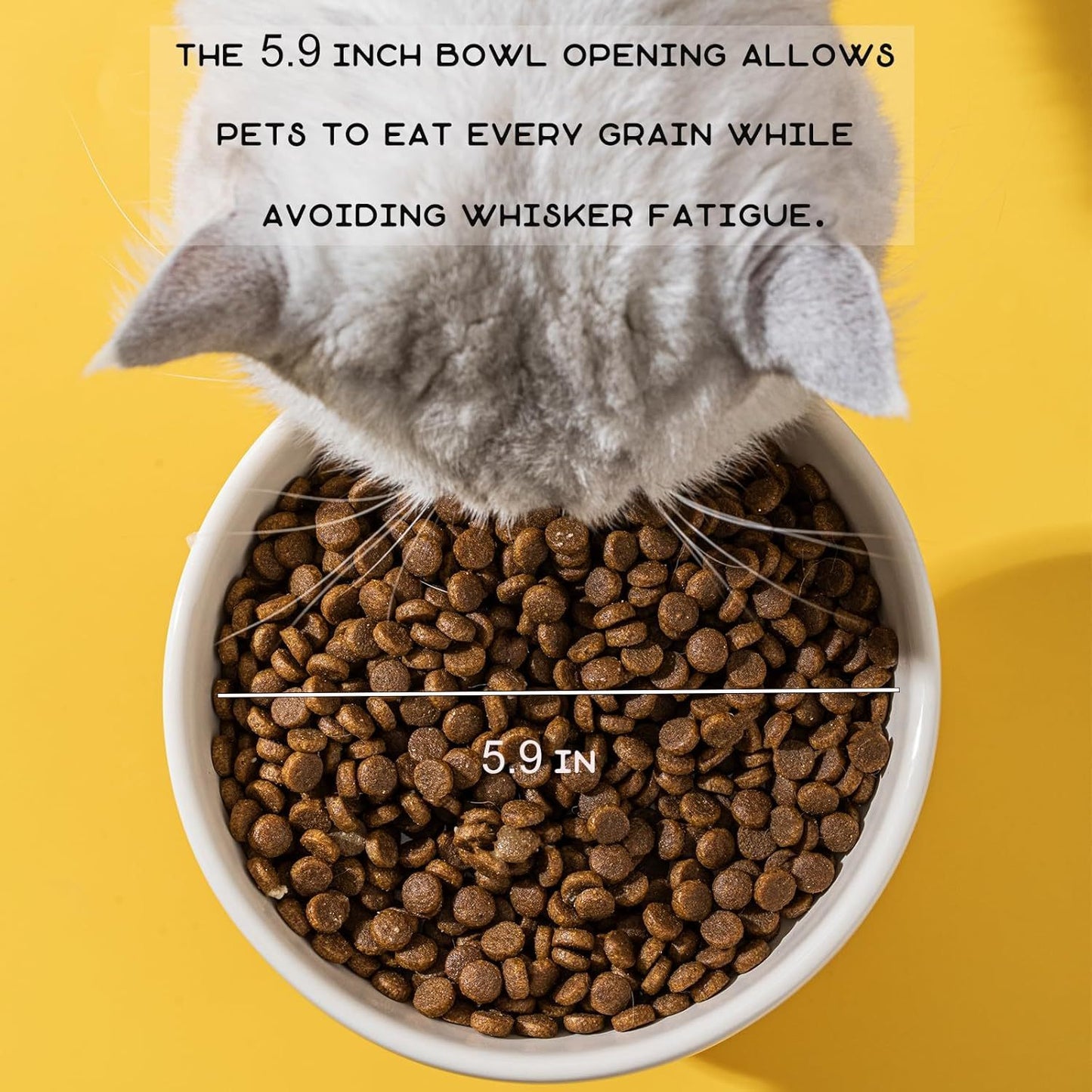 Food Bowls Elevated Animal Theme For Indoor Cats