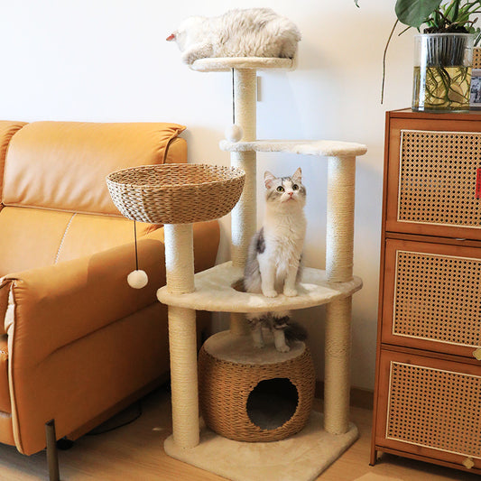 Cloud Cat Climb Rack Nest Tree